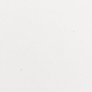 Meet your Posher, Max